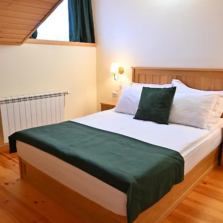 Guest house Casa Gantz 3*