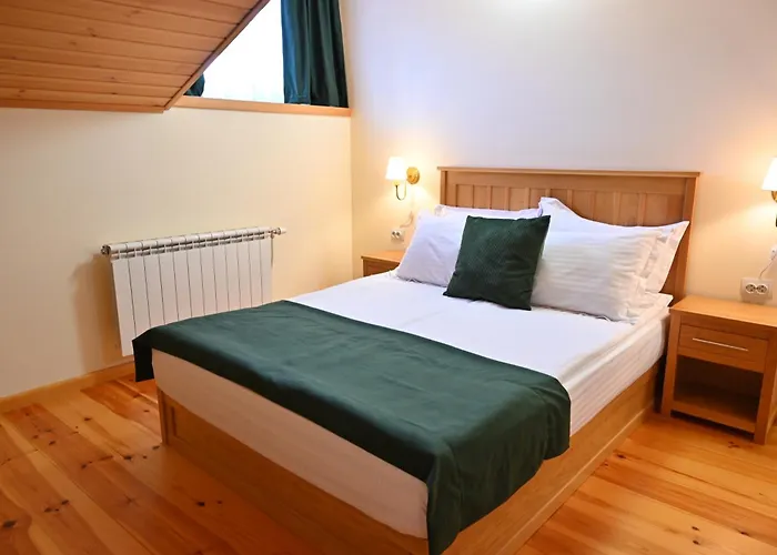 Guest house Casa Gantz 3*